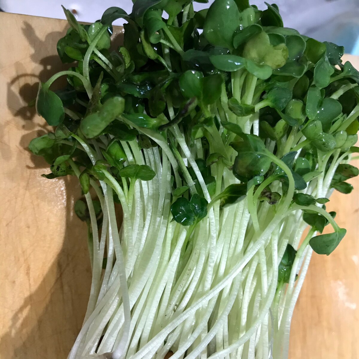 バラけない かいわれの洗い方 レシピ 作り方 By Km Km 楽天レシピ バラけない かいわれの洗い方 レシピ 作り方 By Km Km 楽天レシピ